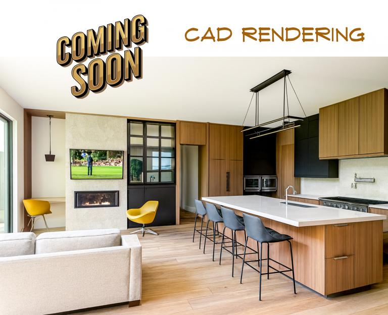 Modern Kitchen CAD Rendering